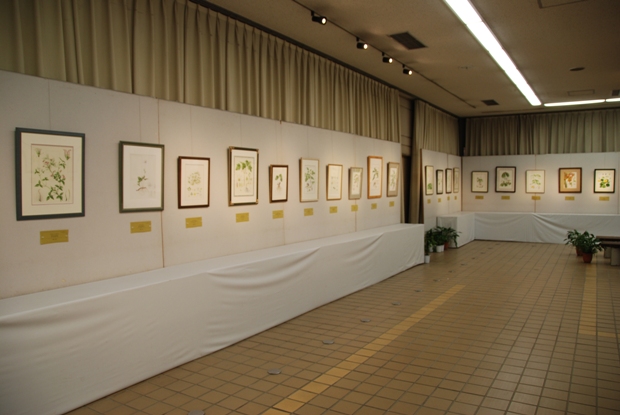 ブログ記事「植物会館展示会「ボタニカルアートで描く日本の固有植物」のお知らせ」のサムネイル画像