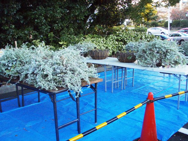 ブログ記事「駐車場にて…」のサムネイル画像