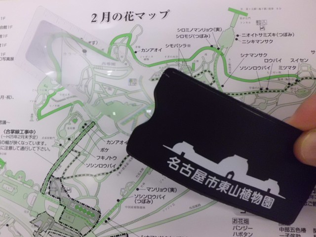 ブログ記事「再度お知らせします！‘温室（前館）の観覧停止とプレゼント配布について’」のサムネイル画像