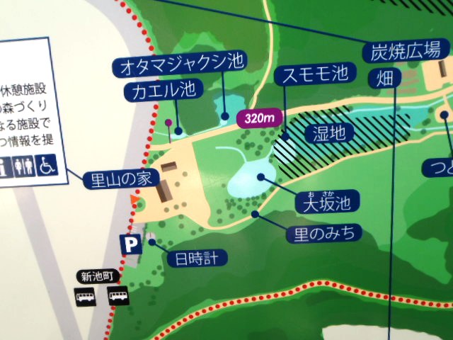 ブログ記事「「くらしの森」にて」のサムネイル画像