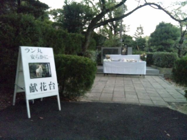 ブログ記事「ラン丸献花台」のサムネイル画像
