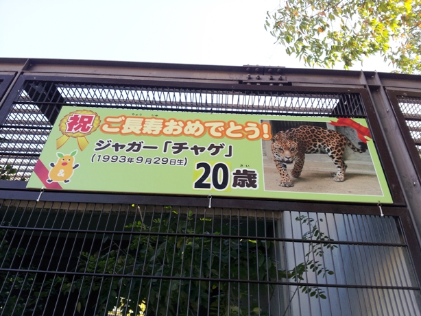 ブログ記事「9月29日」のサムネイル画像