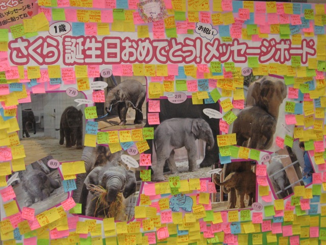 ブログ記事「ＨＡＰＰＹ　ＢＩＲＴＨＤＡＹ」のサムネイル画像