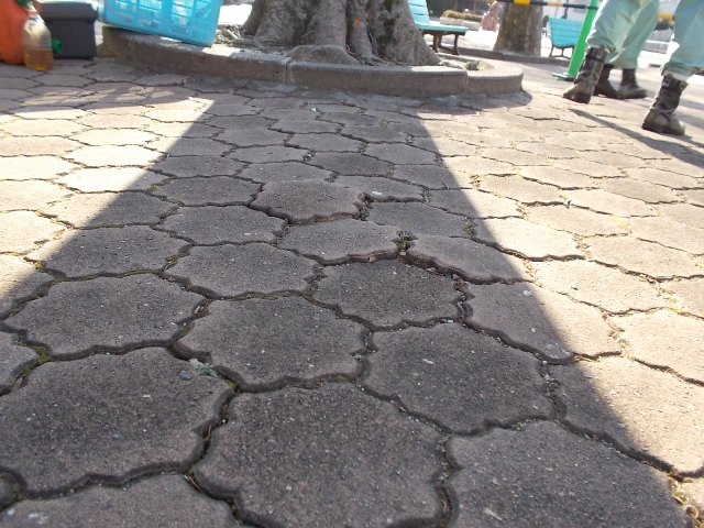 ブログ記事「森のべんりやさん!?」のサムネイル画像