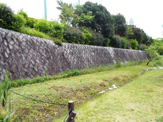 ブログ記事「中学生と森のとこやさん」のサムネイル画像