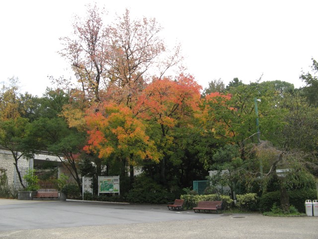 ブログ記事「平成26年の紅葉情報　〜その１〜」のサムネイル画像