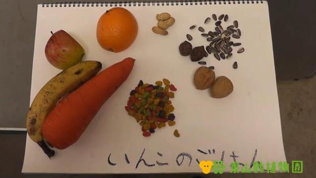 ブログ記事「きょうのいんこ(Vol.22)」のサムネイル画像