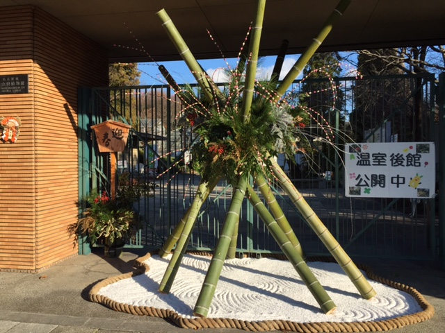 ブログ記事「謹賀新年！植物園より」のサムネイル画像