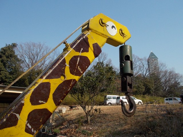 ブログ記事「潜入!?　キリンのケンちゃん」のサムネイル画像