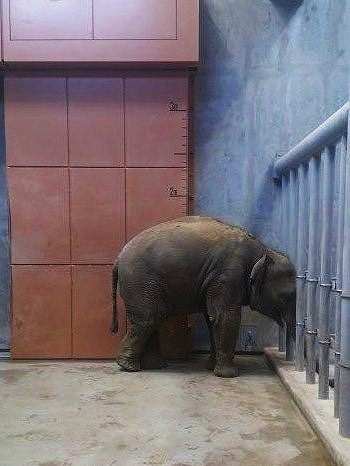 ブログ記事「目盛」のサムネイル画像