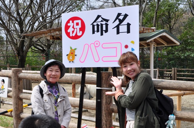 ブログ記事「『祝　アルパカ命名』」のサムネイル画像