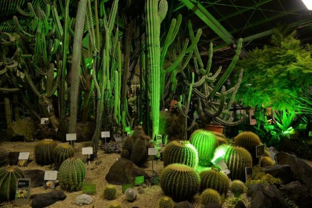 ブログ記事「幻想的な夜」のサムネイル画像