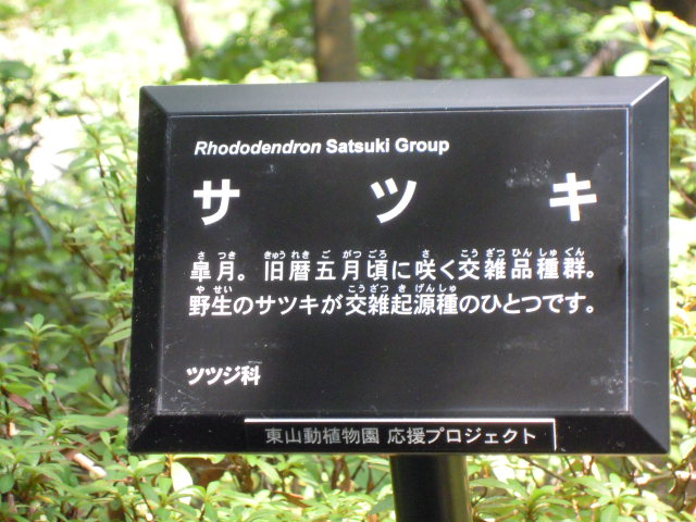 ブログ記事「東山動植物園応援プロジェクトの応援ありがとうございました！」のサムネイル画像
