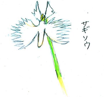 ブログ記事「東山で見つけたお気に入り。その1」のサムネイル画像