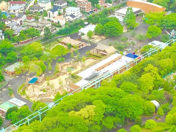 ブログ記事「スカイタワーの夏の夜」のサムネイル画像
