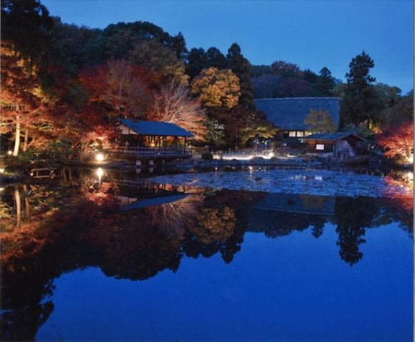 ブログ記事「もうすぐ東山植物園もみじ狩りの季節です」のサムネイル画像
