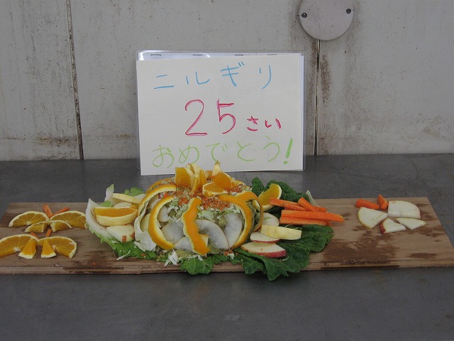 ブログ記事「ニルちゃんお誕生日おめでとう」のサムネイル画像