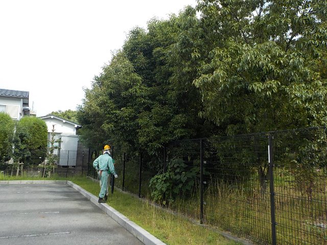 ブログ記事「とこやさんからの・・・・」のサムネイル画像