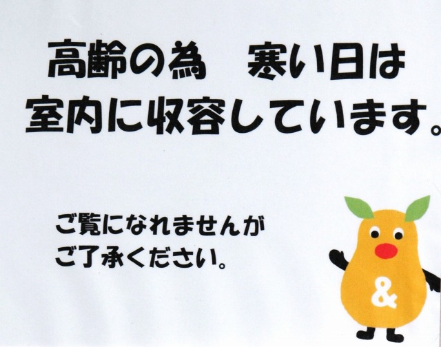 ブログ記事「食肉小獣舎の冬」のサムネイル画像