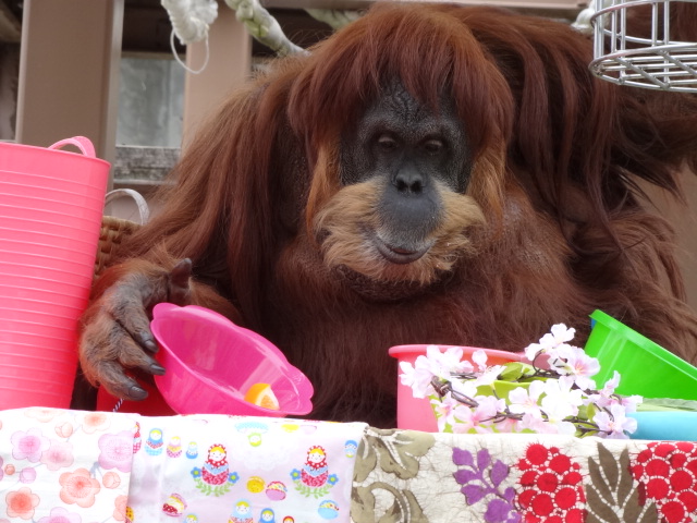 ブログ記事「誕生日おめでとう！！」のサムネイル画像
