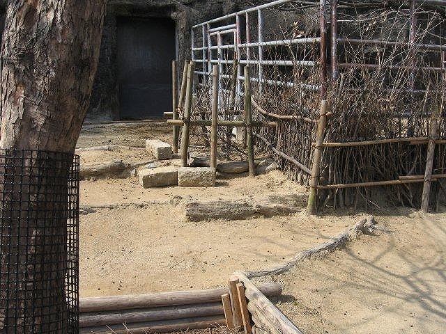 ブログ記事「アクシスジカ舎緑化計画」のサムネイル画像