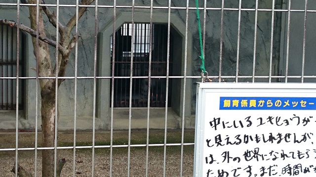 ブログ記事「リアンのトレーニング」のサムネイル画像