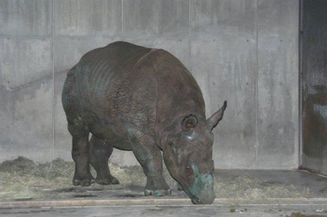 ブログ記事「こんなに大きくなりました」のサムネイル画像