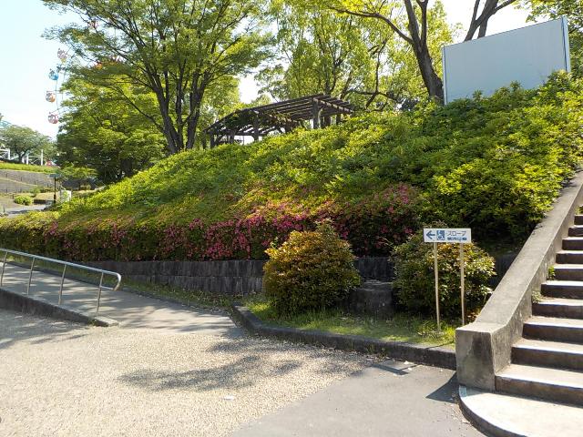 ブログ記事「サッパリ〜」のサムネイル画像