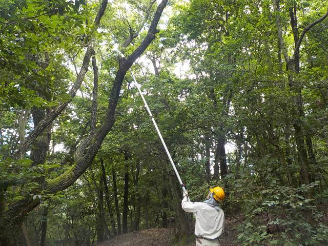 ブログ記事「夏だ!休みだ!!山に行こう〜」のサムネイル画像