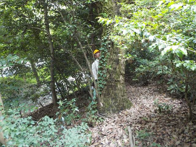 ブログ記事「夏休み前の点検」のサムネイル画像