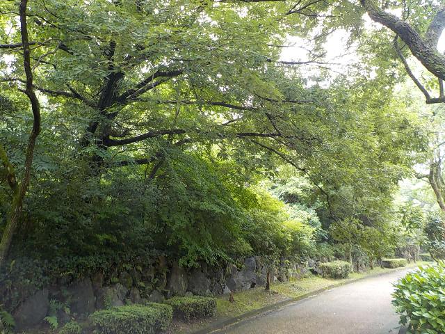 ブログ記事「黄色いダンプの宅配便♪」のサムネイル画像