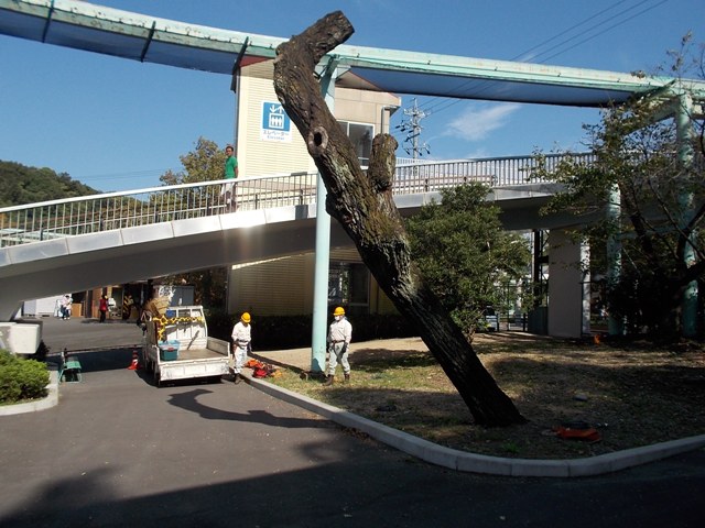 ブログ記事「今日はバラバラです゜д゜!?」のサムネイル画像