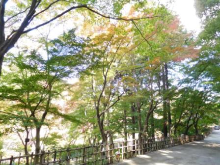 ブログ記事「もうすぐもみじ狩りが始まります！」のサムネイル画像