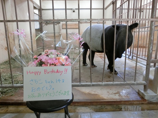 ブログ記事「Happy　Birthday!」のサムネイル画像
