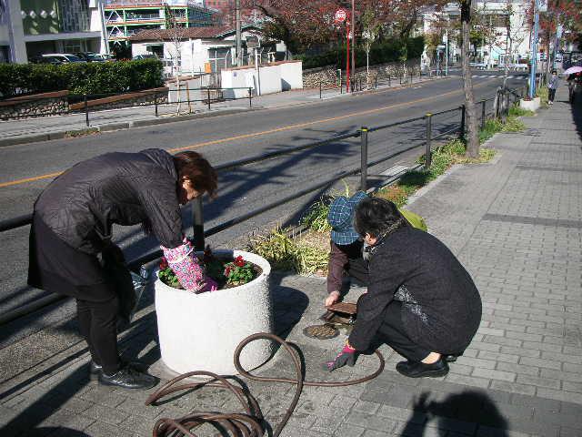 水やりの準備.JPG