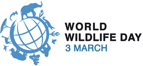 ブログ記事「世界野生生物の日 / World Wildlife Day」のサムネイル画像