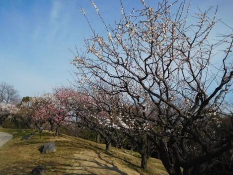 ブログ記事「春がきた。」のサムネイル画像
