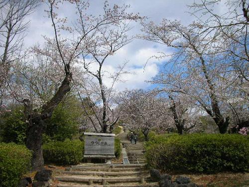 桜の回廊はじめの一歩.JPG