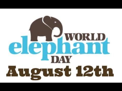 毎年8月12日は世界ゾウの日です.JPG