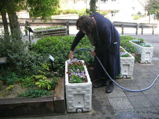 福を呼びそな遊蝶花 星が丘門花便りno 121 オフィシャルブログ 東山動植物園