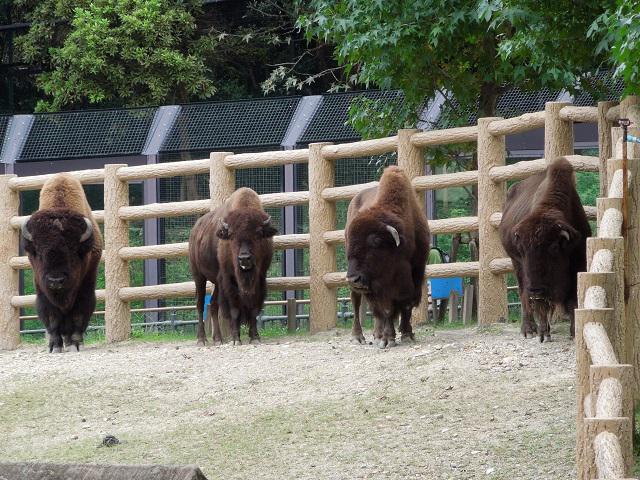 ブログ記事「今週の１枚　その㉛」のサムネイル画像