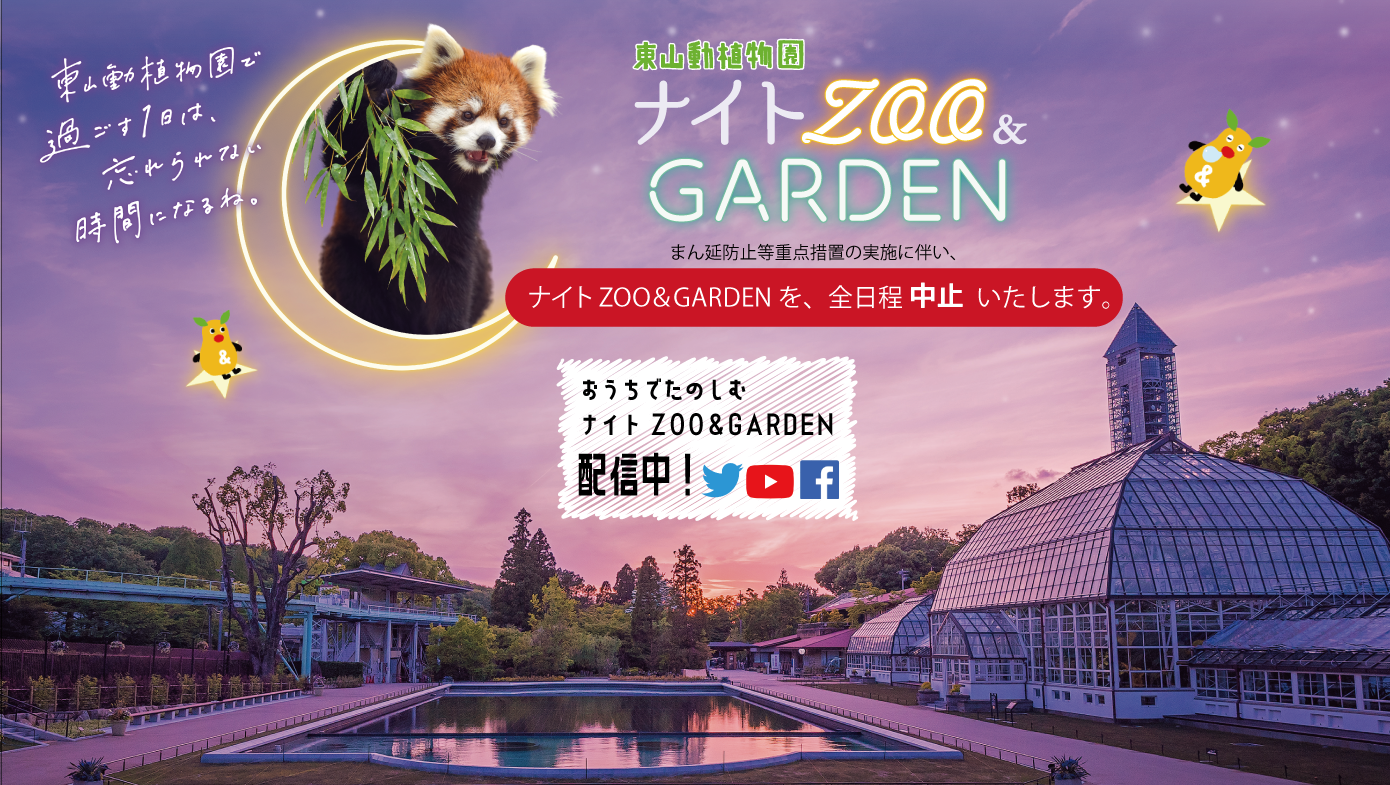 東山動植物園 大人入場券 5枚 - 動物園