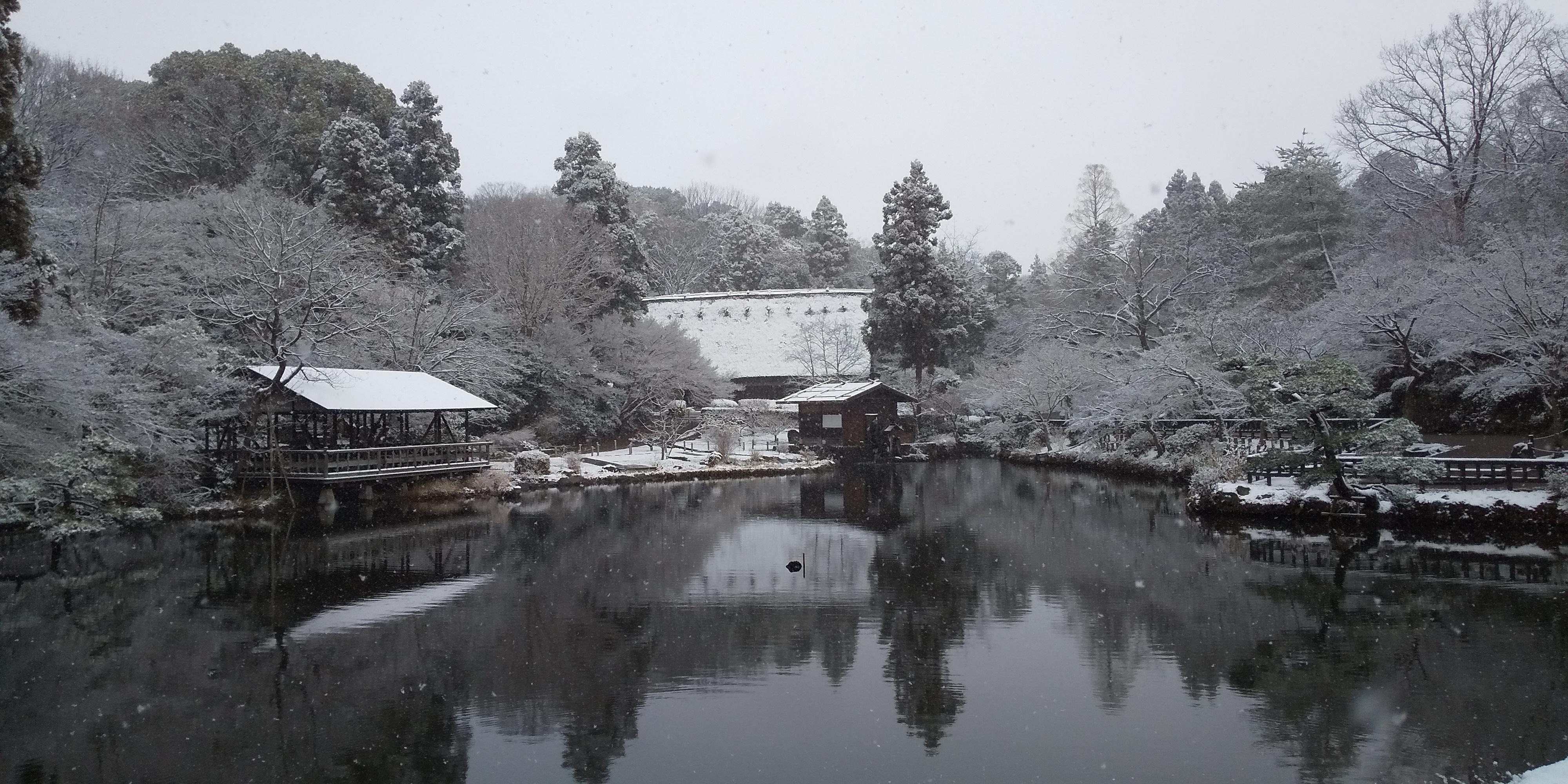 美しき植物園の雪景色 オフィシャルブログ 東山動植物園
