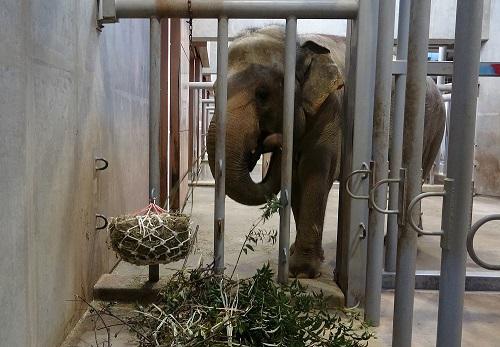 「親子ヘイネット作り体験」とその後｜オフィシャルブログ｜東山動植物園