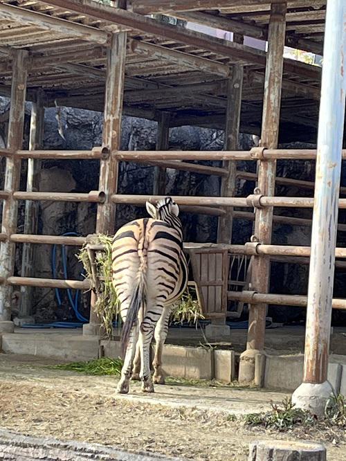 ブログ記事「こう見えて大食漢なんです」のサムネイル画像