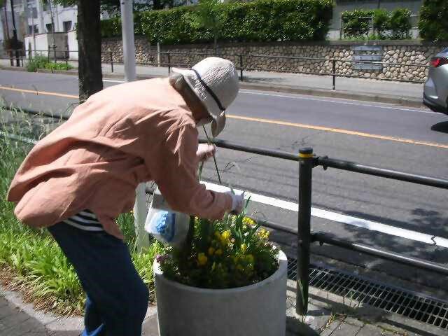 手直し後プランター9.jpg