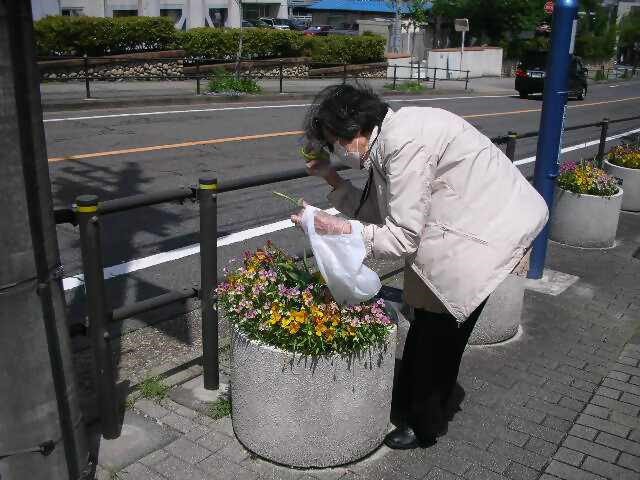 手直し後プランター7.jpg