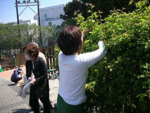 写真⑦_無害化済.jpg