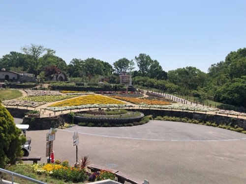 お花畑070430.jpg