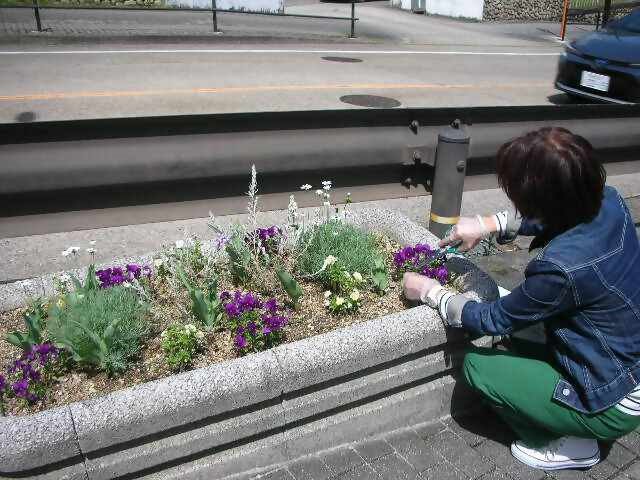 手直し後プランター6.jpg